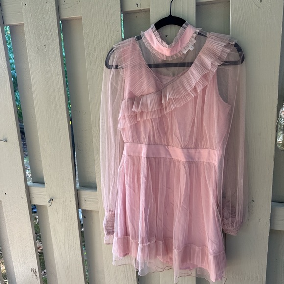Boutique Pink ruffle dress with a sheer mesh overlay 🫶🏻✨ - Picture 3 of 4